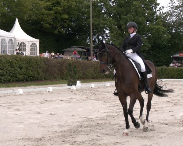 Reitturnier Vlotho-Exter 2024
