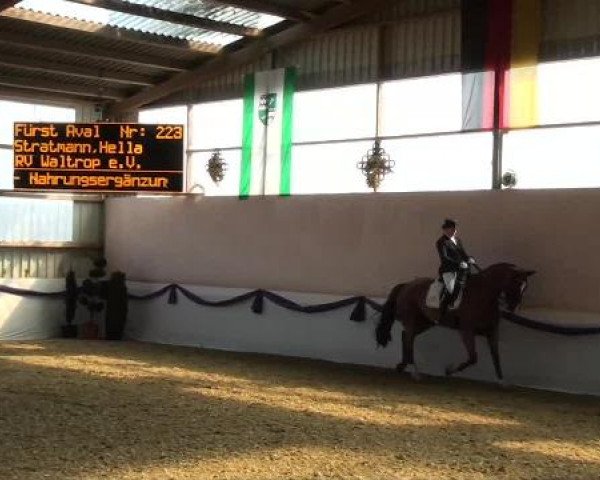 Hallen-Dressur- und Spring-Late-Entry im Reitsportzentrum Gerd Könemann 2013