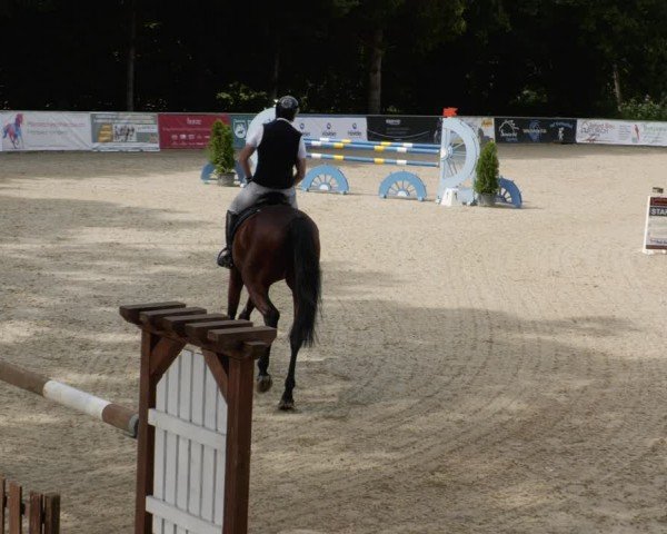 Reitturnier Karlsfeld/Obb. 2024