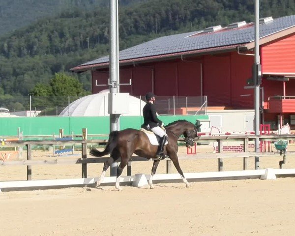 Reitturnier Balsthal 2024