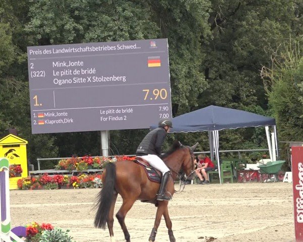 Reitturnier Bad Wildungen 2024