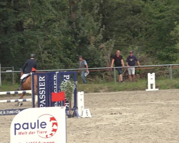 Reitturnier Bad Wildungen 2024