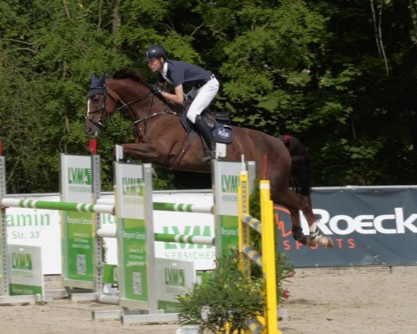 Reitturnier Karlsfeld/Obb. 2024