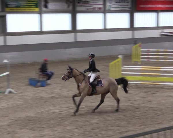 Reitturnier Luhmühlen 2021