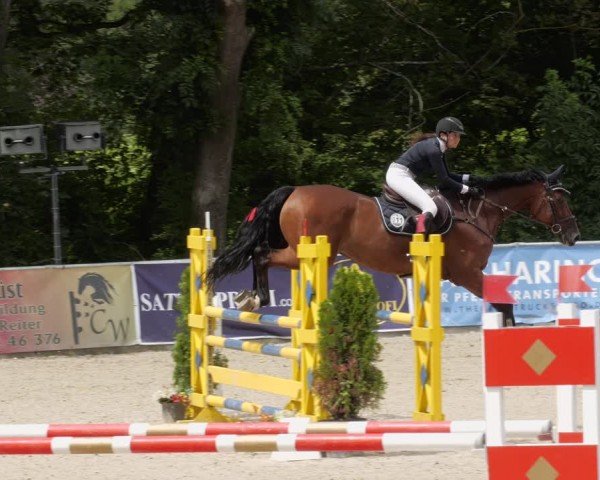 Reitturnier Karlsfeld/Obb. 2024