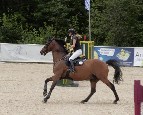 Reitturnier Karlsfeld/Obb. 2024