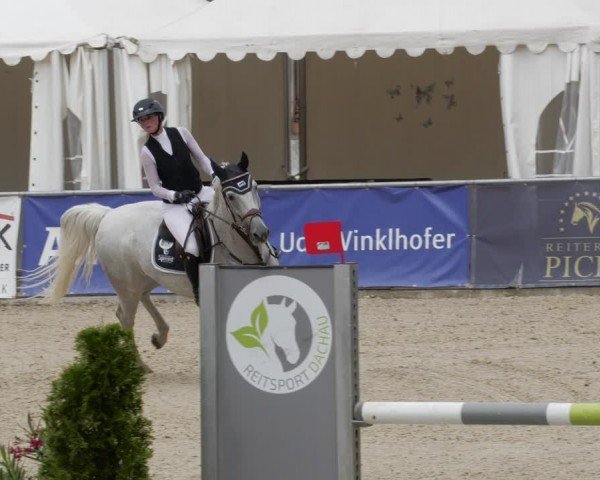 Reitturnier Karlsfeld/Obb. 2024