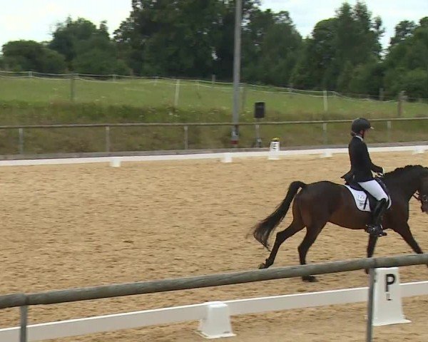 Reitturnier Altentrüdingen/Mfr. 2024