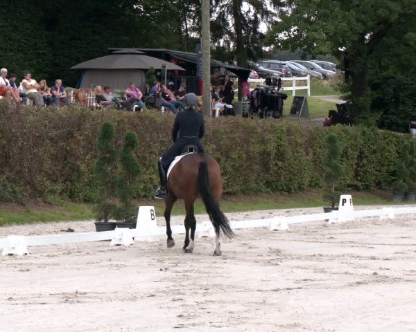 Reitturnier Vlotho-Exter 2024