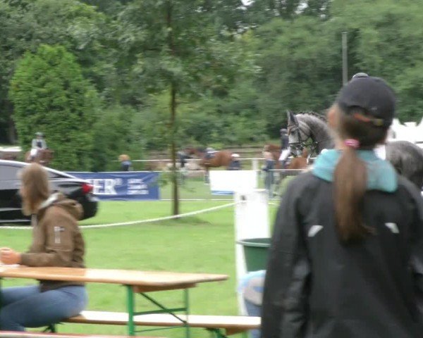 Reitturnier Hannover/Reiterstadion 2024