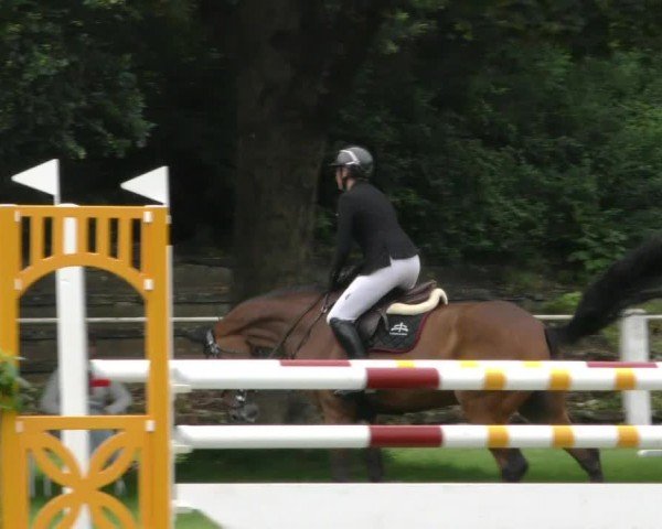 Reitturnier Hannover/Reiterstadion 2024