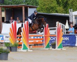 jumper Contheo 3 (Hanoverian, 2018, from Conthargos)