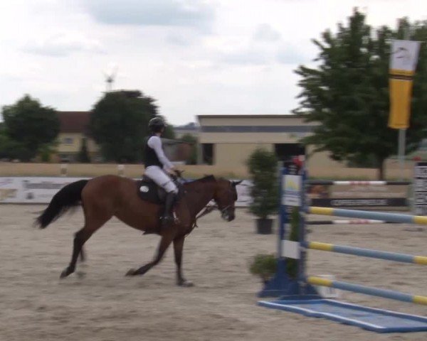 Reitturnier Rot am See Musdorf 2024