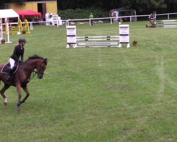 Reitturnier Gorgast 2024