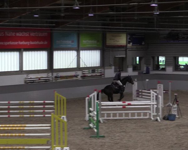 Reitturnier Luhmühlen 2021
