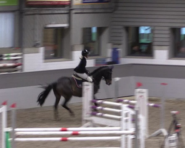 Reitturnier Luhmühlen 2021