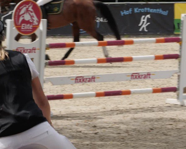 Reitturnier Karlsfeld/Obb. 2024