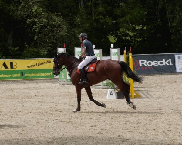 Reitturnier Karlsfeld/Obb. 2024