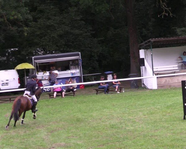 Reitturnier Gorgast 2024