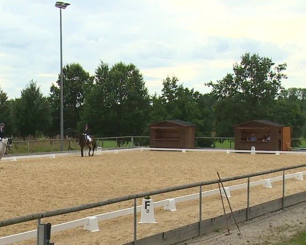 Reitturnier Altentrüdingen/Mfr. 2024