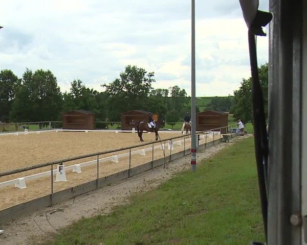 Reitturnier Altentrüdingen/Mfr. 2024