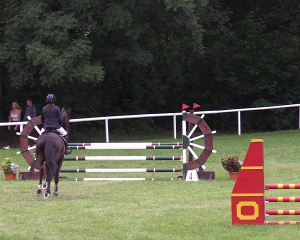 Reitturnier Gorgast 2024