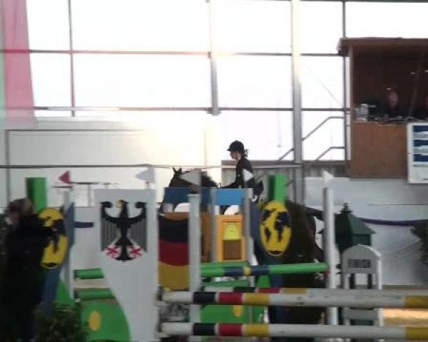 I. Hallen Youngster Turnier des RuF Rhede-Krommert im Reitersportzentrum Gerd Koenemann 2013