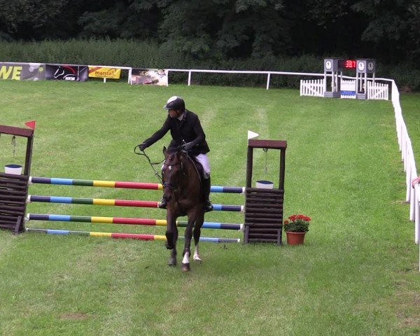 Reitturnier Gorgast 2024
