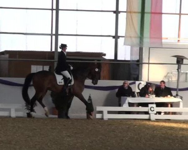Hallen-Dressur- und Spring-Late-Entry im Reitsportzentrum Gerd Könemann 2013