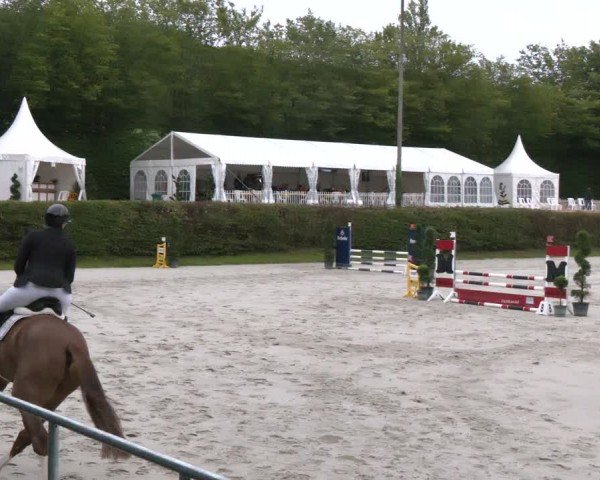 Reitturnier Vlotho-Exter 2024