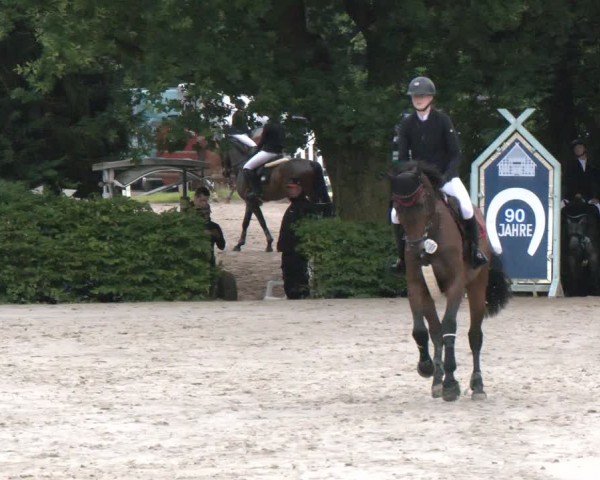 Reitturnier Vlotho-Exter 2024