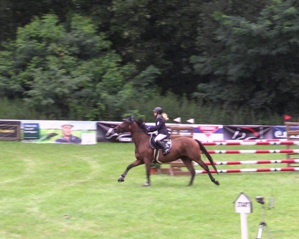 Reitturnier Gorgast 2024