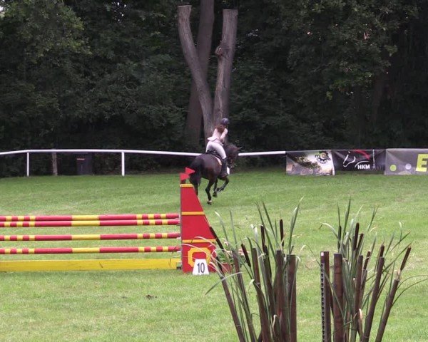 Reitturnier Gorgast 2024