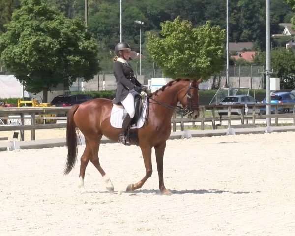 Reitturnier Balsthal 2024