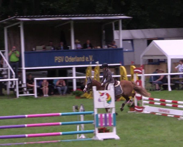 Reitturnier Gorgast 2024