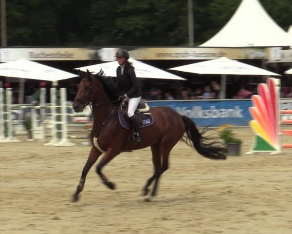 Reitturnier Olfen-Vinnum 2024
