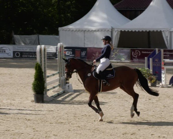Reitturnier Karlsfeld/Obb. 2024