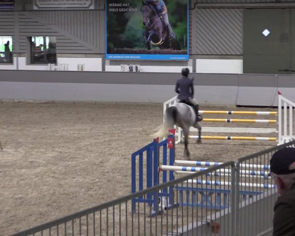 Reitturnier Luhmühlen 2021