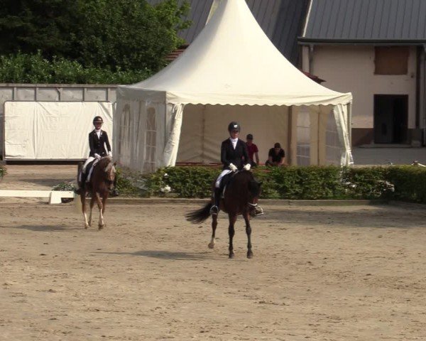 Reitturnier Olfen-Vinnum 2024