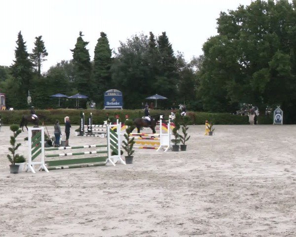 Reitturnier Vlotho-Exter 2024