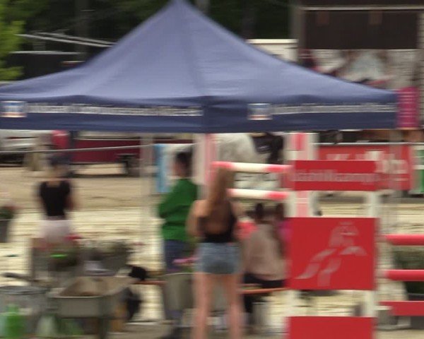 Reitturnier Olfen-Vinnum 2024