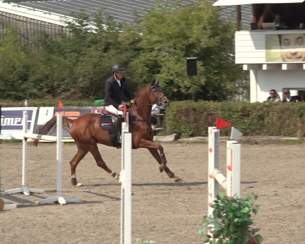 Reitturnier Bad Wildungen 2024