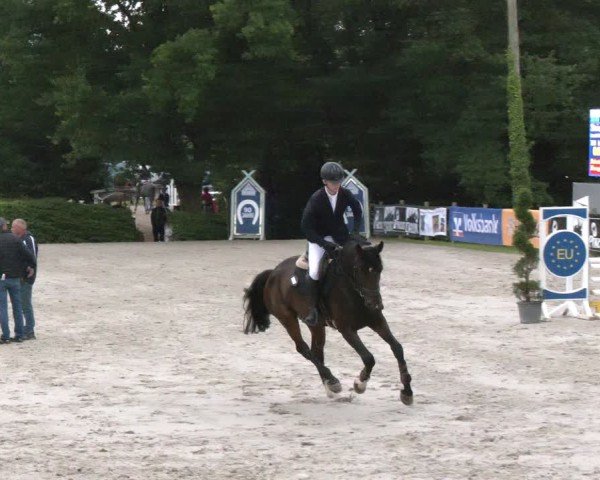 Reitturnier Vlotho-Exter 2024