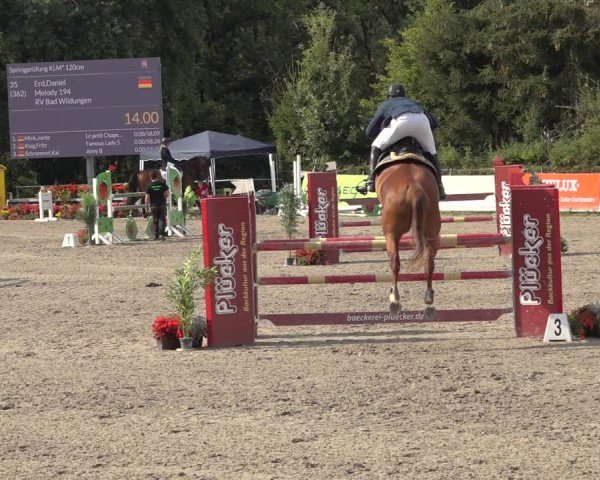 Reitturnier Bad Wildungen 2024