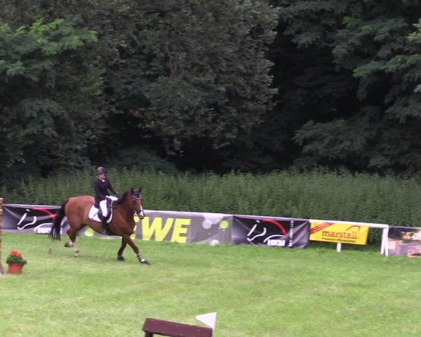 Reitturnier Gorgast 2024