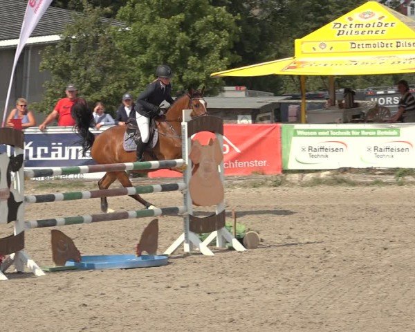 Reitturnier Bad Wildungen 2024
