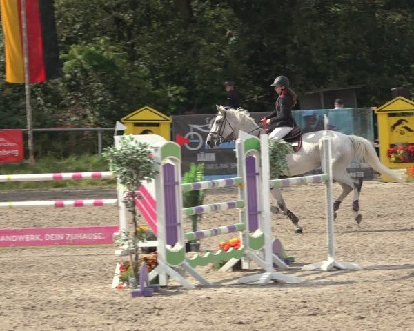 Reitturnier Bad Wildungen 2024