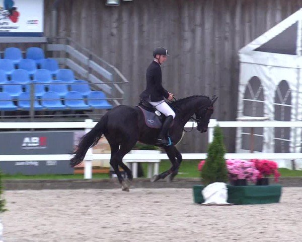 Reitturnier Ladelunder Springtage 2024