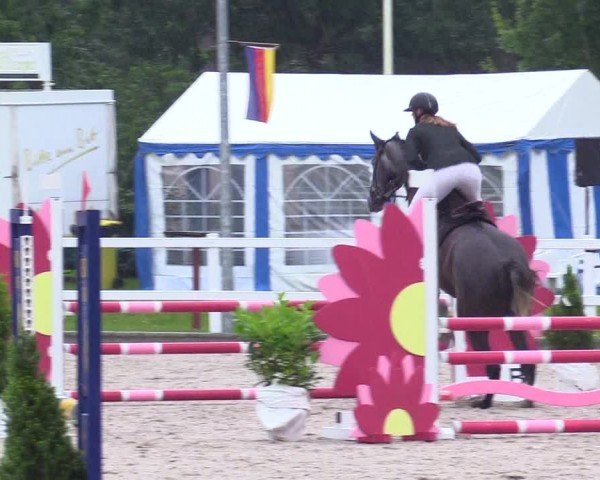 Reitturnier Ladelunder Springtage 2024
