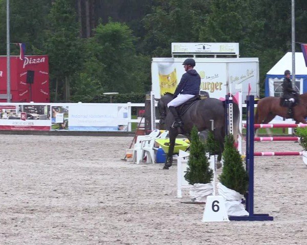 Reitturnier Ladelunder Springtage 2024